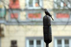 Odhalení pomníku Miladě Horákové