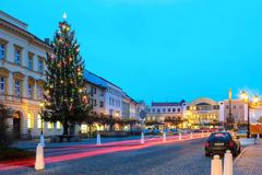 Vánoční stromy - Svitavy