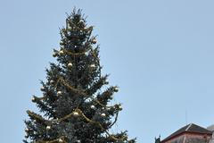 Vánoční stromy - Rokycany