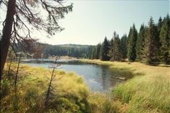 Žďárské jezírko, Šumava