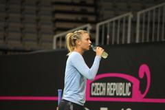 Maria Šarapovová před finále Fed Cupu 2015