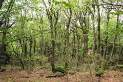 Krkonošský národní park