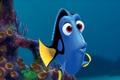 Hledá se Dory