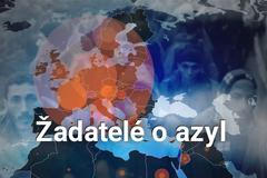 grafika - žadatelé o azyl
