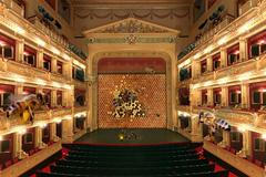 "Národní med" - včely a med v Národním divadle