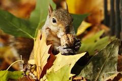 Snímky Reuters na dražbu pro charitu Šance pro děti