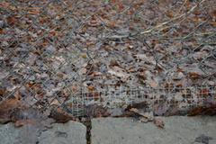 Protržený plot v Zoo Brno