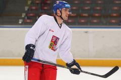 Sraz hokejové reprezentace před Karjalou 2015: Rostislav Olesz