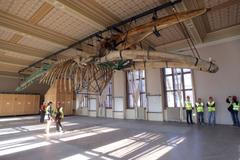 Oprava Národního muzea