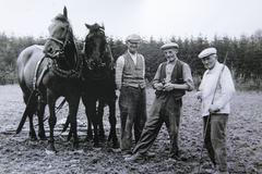 pamětníci kolektivizace