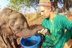 Víc se ví o počtech mrtvých slonů než živých, za 15 let vyhynou, říká Čech chránící slony v Africe