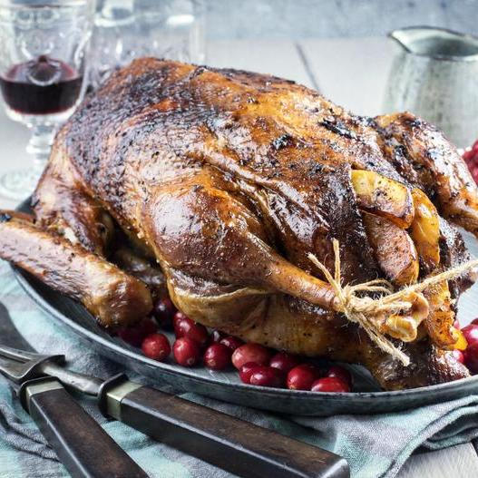 Svatomartinské hody