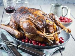 Svatomartinské hody