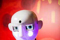 iQlandia- humanoidní robot