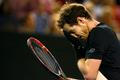 Andy Murray ve finále Australian Open 2016