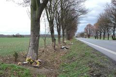 Riziková silnice 1/16 - pomníčky