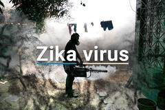 Zika virus