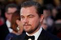 Leonardo DiCaprio