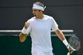 Juan Martin del Potro na Wimbledonu 2013
