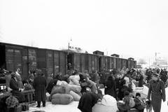 Vysídlení Němců z Československa