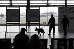 Mimořádná bezpečnostní opatření na pražském letišti