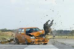 Crash test auto a zvíře