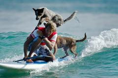 Chris de Aboitiz na surfu se psy