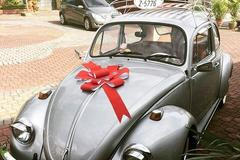Volkswagen Beetle 1967