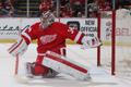 Petr Mrázek (Detroit Red Wings)