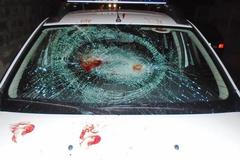 Řádění "vlkodlaka" v Kladně