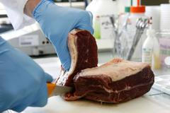 Kontrola potravin - ilustrace