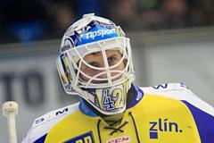 Libor Kašík, PSG Zlín (2015-16)