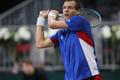 Tomáš Berdych, Davis Cup