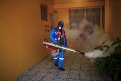 Zika virus v jižní Americe