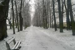 Sněžení - čtenářské foto