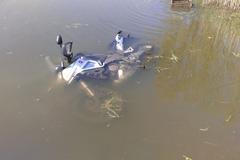 Motorka po nehodě v rybníce