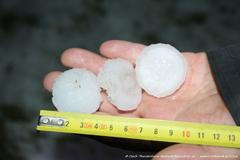 Kroupy v obci Malonty 27. 5. 2016