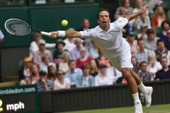 Wimbledon 2014: Štěpánek - Djokovič