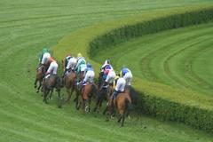 Ivana Zemanová na dostizích