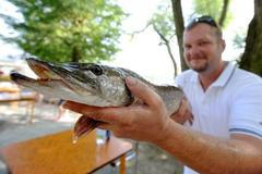 Roman Konstanz z Povodí Moravy drží čtyřletou generační štiku opatřenou čipem, kterou vzápětí vypustí do Brněnské přehrady.