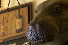 Hospody se nevzdáme - U Hrocha