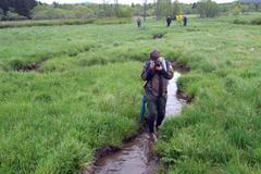 Revitalizace potoků na Šumavě