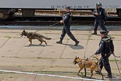 Policie - ilustrační foto