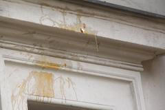 Incident s házením vajíček