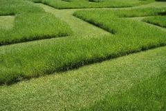 Netradiční trávník