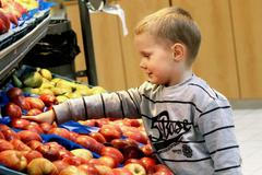 Ovoce, ilustrační foto