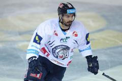 Bílí Tygři Liberec - BK Mladá Boleslav, semifinále extraligy 2016