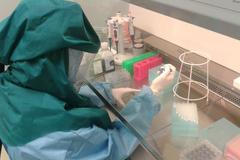 Budějovicko-brněnský tým laboratoře arbovirologie