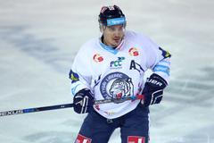 Bílí Tygři Liberec - BK Mladá Boleslav, semifinále extraligy 2016