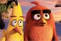 Angry Birds ve filmu - trailer